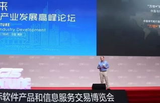 第十三屆中國南京軟博會(huì)開幕，聚焦互聯(lián)網(wǎng)信息服務(wù)新趨勢(shì)